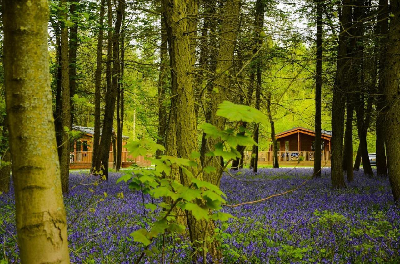 Hollicarrs - Stag Lodge York Exterior photo